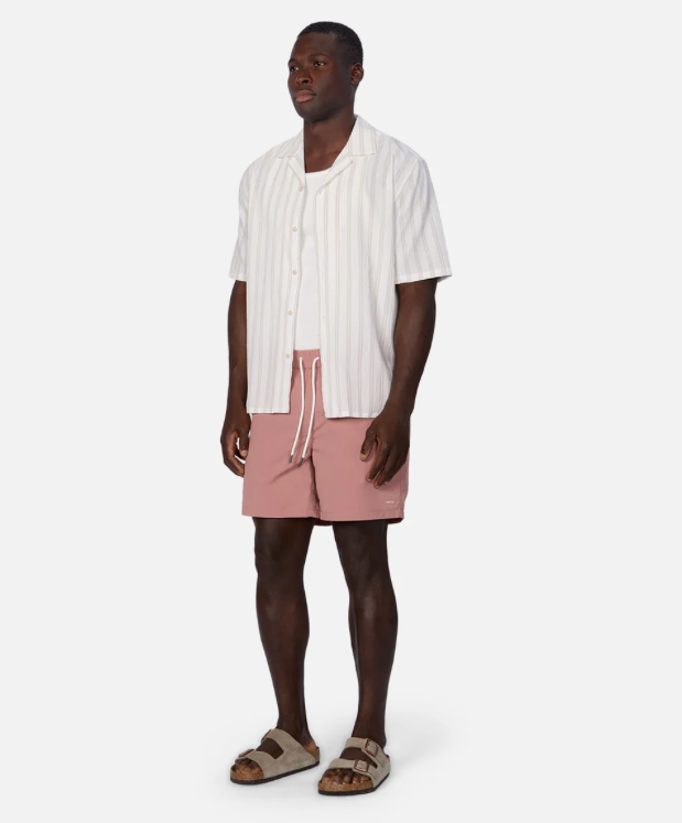 The New Stripe Magna Shirt