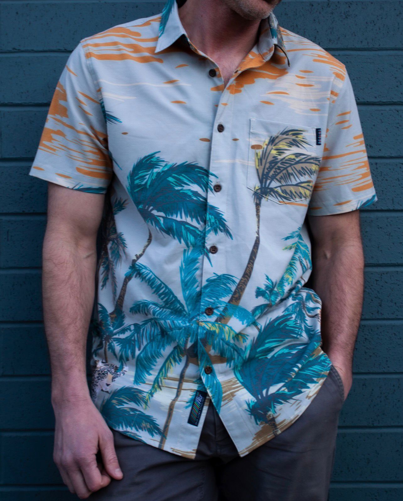2 Cats No Rats- Vagabond Button Up