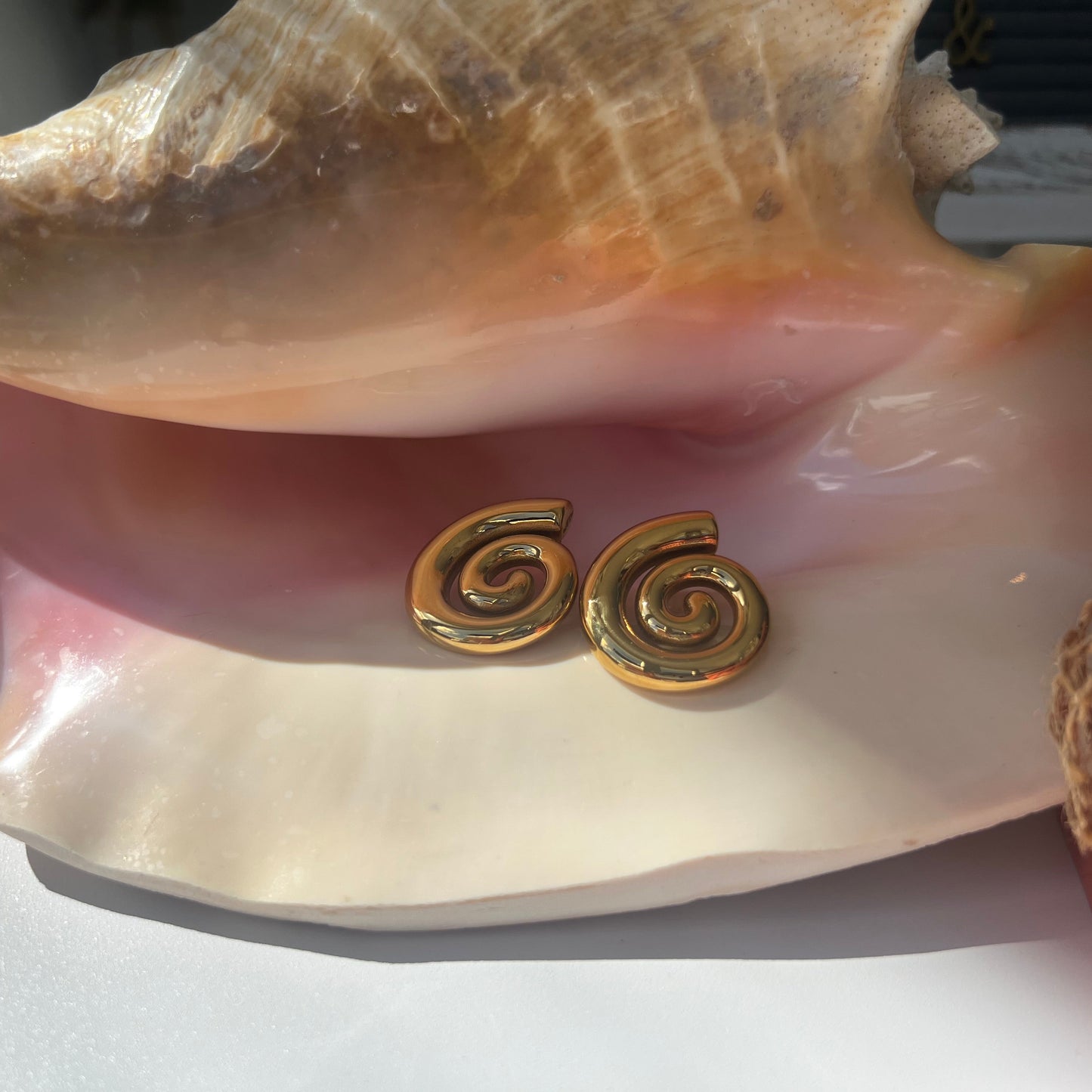Nautilus Studs