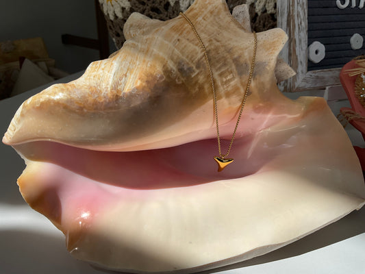 Shark Tooth - Salty Pendant