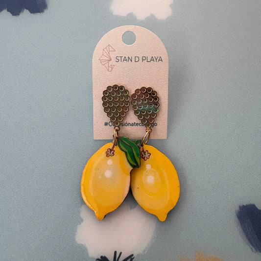 Dulce Acida Earrings